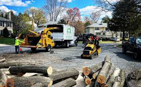 Best Emergency Tree Removal  in Prosser, WA